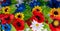 Arrangement bouquet poppies, daisies, sunflowers, green leaves closeup