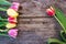 Arrangement of colorful tulips on a rustic wooden table, text space