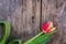 Arrangement of colorful tulips on a rustic wooden table, text space