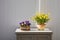 Arrangement of daffodils (narcissus) and homet violets (viola comuta) on a little cabinet