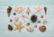 Arrangement of different shells and starfishes on blue or turquoise wooden background.