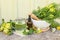 Arrangement of different wild herbal medicinal plants gathered on wooden table.