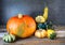 Arrangement of fall decorative pumpkins and gourds on natural rustic wooden background