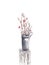 Arrangement of a flowers in a tall vase. Branches of cotton buds and red berries. Ikebana isolated on white background. Hand drawn
