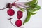 Arrangement of Fresh Raw Organic Beet Roots on white background