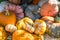 Arrangement of Gourds and Pumpkins