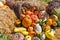 Arrangement of Gourds and Pumpkins