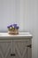 Arrangement of homet violets (viola comuta) in a stylish flowerpot on a little cabinet