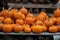 Arrangement Mandarin Pumpkins