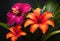 An arrangement of tropical flowers in bold- vibrant colors.