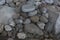 Arrangement of various sized washed gravel and limestones