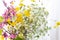 Arranging wildflowers, blossom flowers, seasonal floral themes