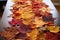 an array of autumn leaves forming a patterned table runner