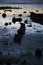 An array of beach rock silhouettes at Brighton Beach, VIC, Australia