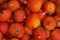 Array of bright and colorful pumpkins arranged in a pile