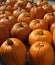 Array of Large Orange Pumpkins