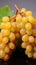 An array of luscious Shine Muscat grapes, both whole and in cut sections