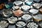 array of petri dishes, each one showcasing a different microbe and its growth patterns