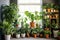 an array of potted indoor plants