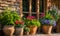 An array of terracotta flowerpots cradling an assortment of colorful flowers, captured with a shallow depth of field