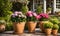 An array of terracotta flowerpots cradling an assortment of colorful flowers, captured with a shallow depth of field