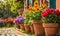 An array of terracotta flowerpots cradling an assortment of colorful flowers, captured with a shallow depth of field