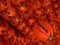 Array of vibrant red Chinese lanterns suspended from the ceiling.