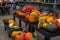 Array of vibrant, seasonal pumpkins at an outdoor fall market