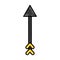 Arrow indian isolated icon