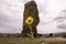 Arrow Leaf Balsamroot in Kodachrome State Park