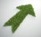 Arrow made out of a patch of grass