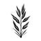 Arrowgrass Icon hand draw black colour plant leaf logo symbol perfect