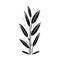 Arrowgrass Icon hand draw black colour plant leaf logo symbol perfect