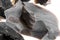 An arrowhead made from flintstone close up