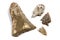 Arrowheads