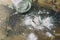 Arrowroot powder in a glass jar, spilled on a rustic wood table. Shown with vintage spoon. Room for copy.