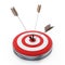 Arrows hit right on target bullseye. 3D illustration