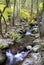 Arroyo Balozano Hervas Caceres Extremadura in Autumn long exposure silky water 3