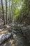 Arroyo Seco Creek near Los Angeles