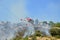 An arson attack on the mountains Prenestini of Castel San Pietro - Lazio