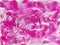 Art abstract pink background paint with acrylic colors