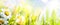 Art abstract sunny springr flower background