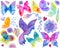 Art collection including butterfly, bird, floral ornament, flowers, leaf, hearts on the white background