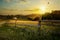 Art countryside landscape; rural farm and farmland field