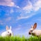 Art couple little Easter rabbits on green grass