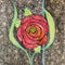 Art deco rose with doodled background.