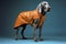 art dog pet animal stylish colourful fashion latex concept funny. Generative AI.