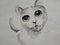 Art Drawing Fine art Sketch Cute Cat Thailand