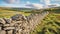 Art of dry stone wall construction in countryside