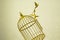 Art empty bird golden cage freedom vintage background